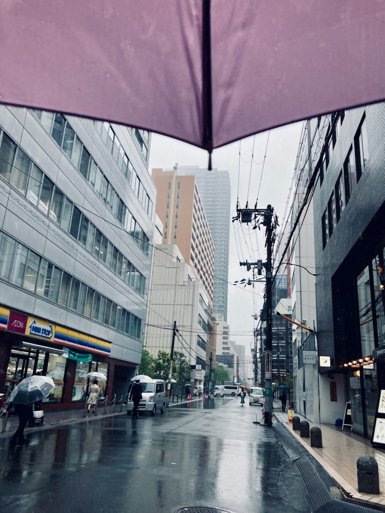 雨