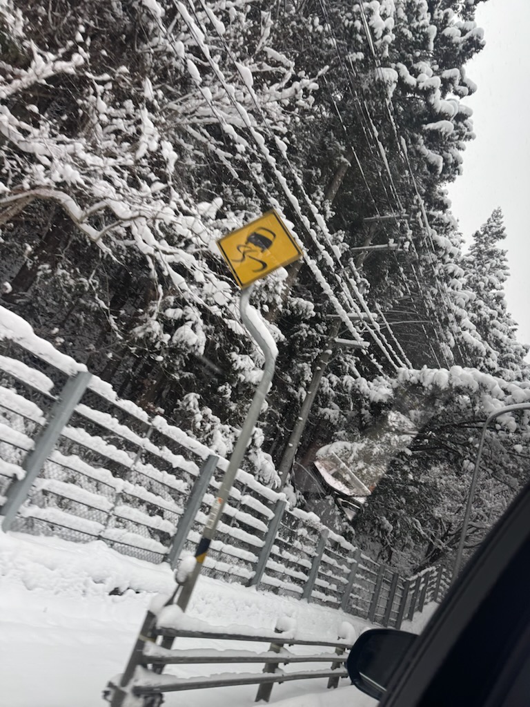 雪やこんこ