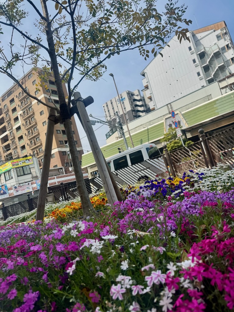 花