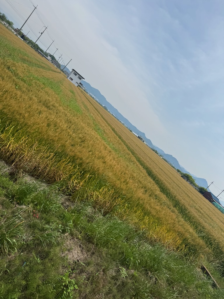 子どもの頃に見た風景