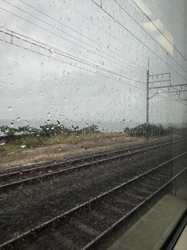 雨男と雨女